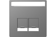 D-Life Центральна накладка 2-модульних роз'ємів Нержавіюча сталь (MTN4574-6036)