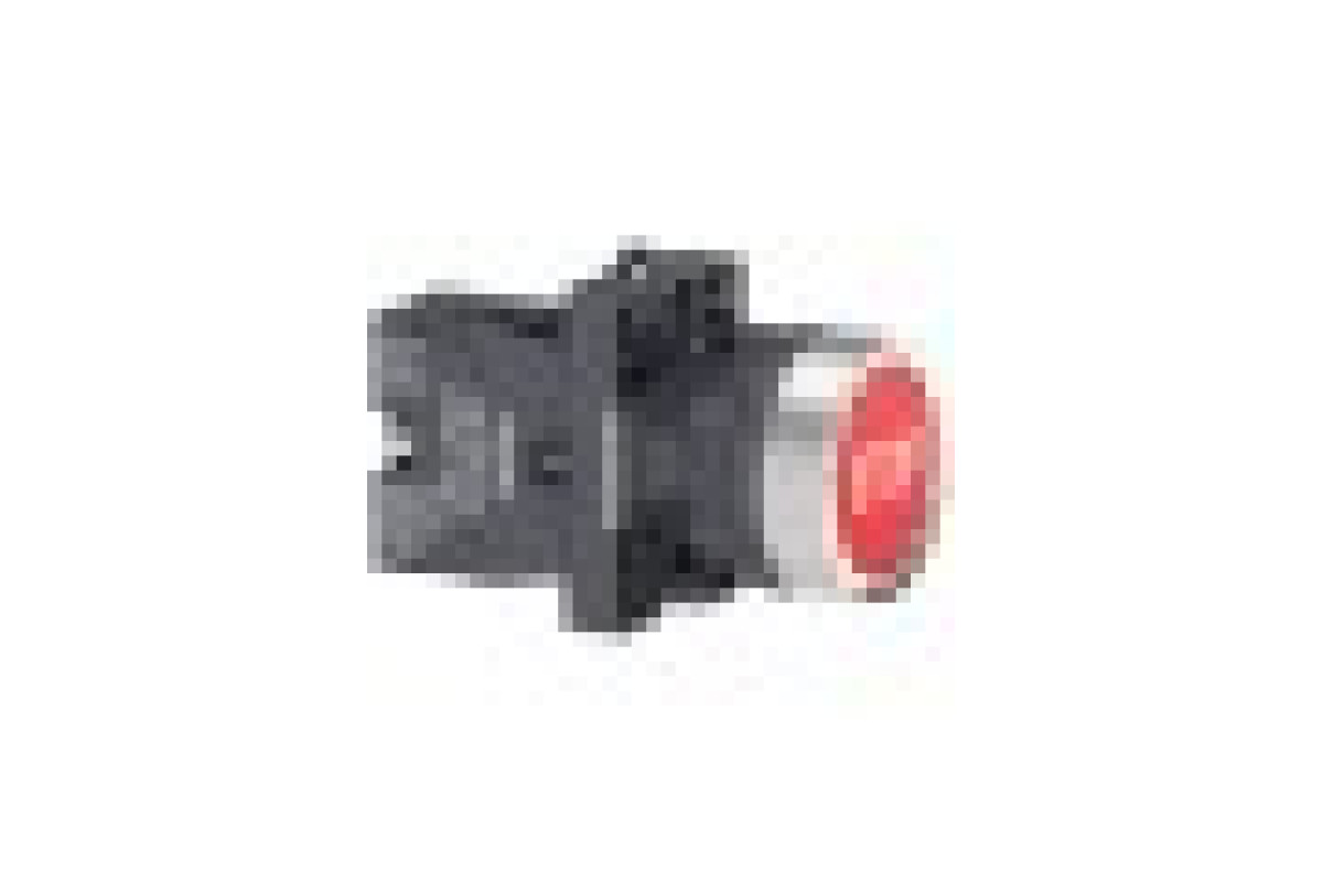 Кнопка ХА2 з натисканням потай червоного кольору з пружинним поверненням, 1NC (XA2EA4342)