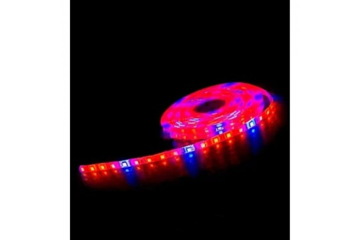 Світлодіодна фітострічка вологозахищена 12V 12W 60SMD 5050 18LM IP65 1m (LM870) (9350095)