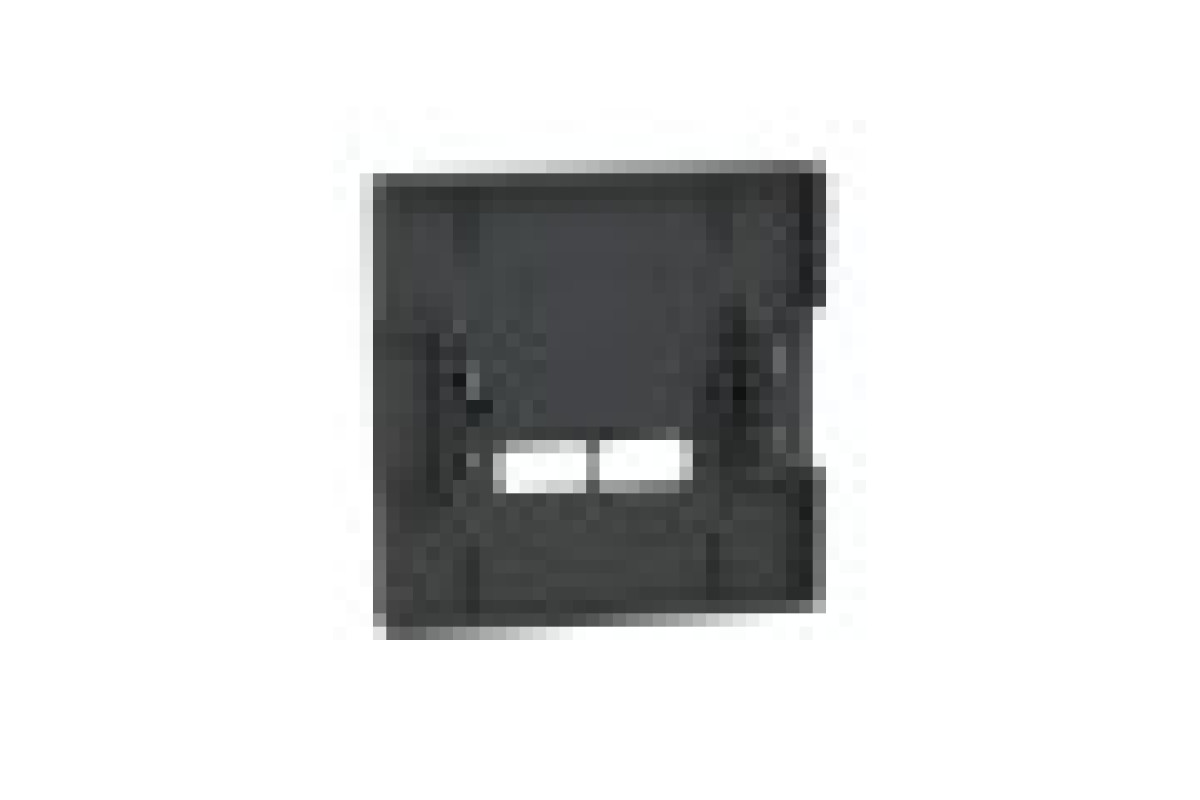 D-Life Центральна накладка USB Антрацит (MTN4367-6034)