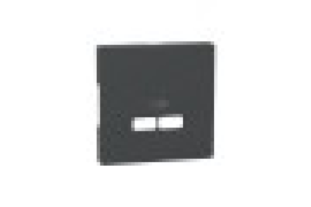 D-Life Центральна накладка USB Антрацит (MTN4367-6034)