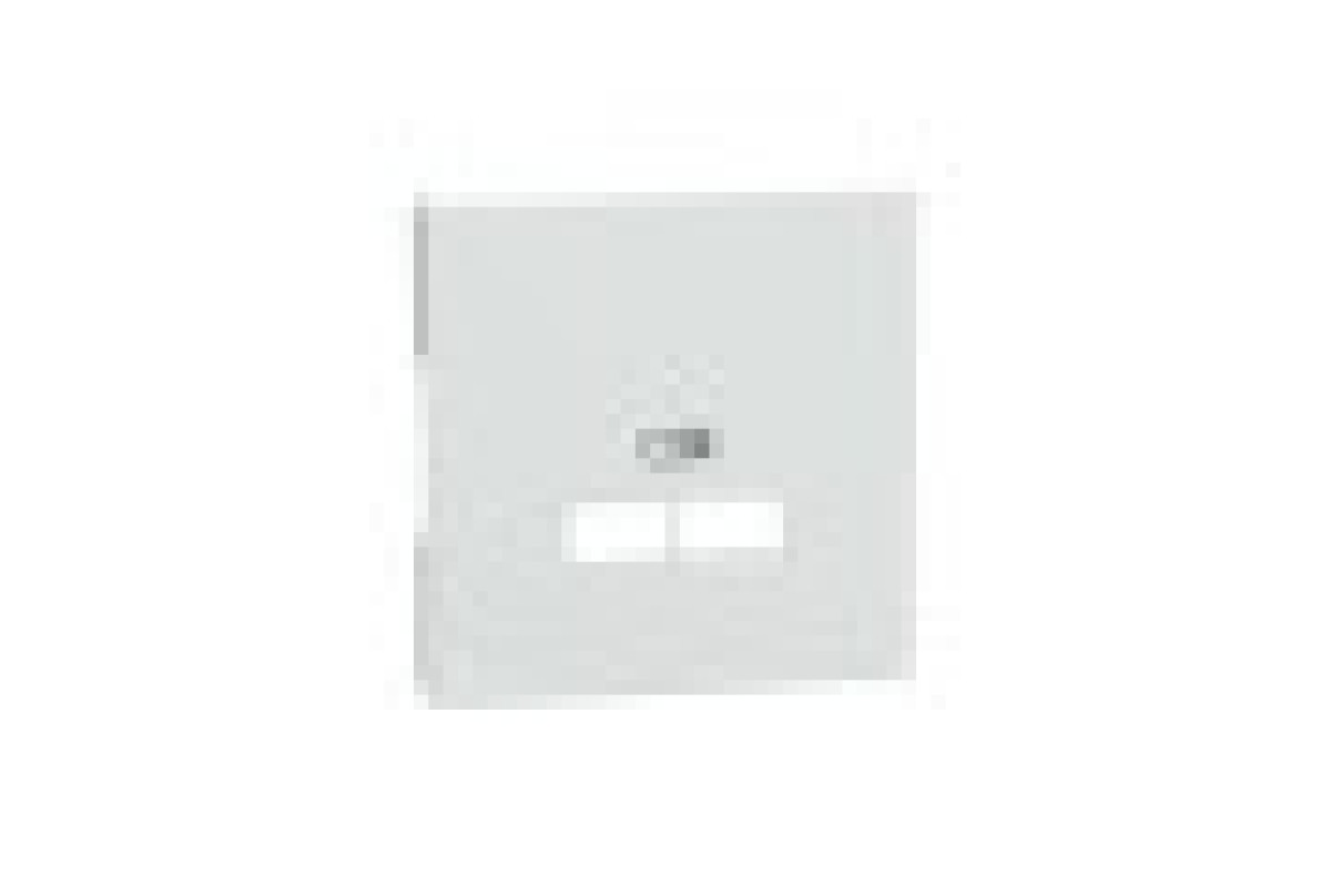 D-Life Центральна накладка USB Білий лотос (MTN4367-6035)