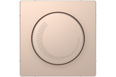 D-Life Центральна накладка регулятора частоти обертів, Шампань (MTN5251-6051)