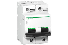 Автоматичний вимикач C120H 2P 100A D (A9N18502)