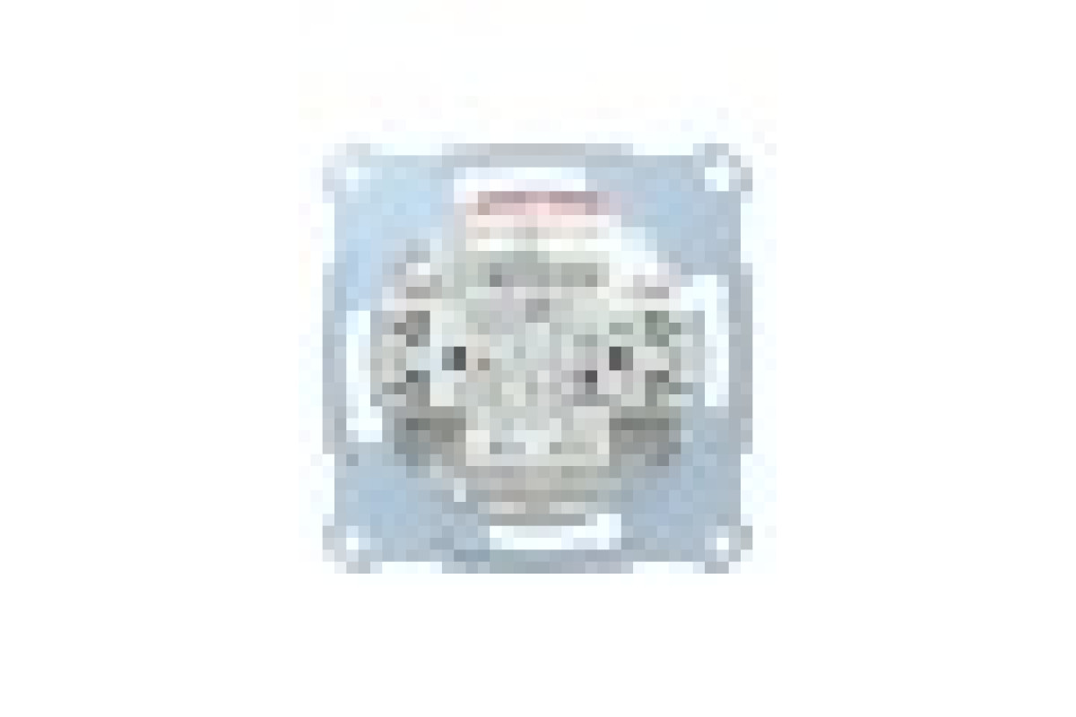 Механізм 2 кнопкового 1 полюсного вимикача з 1 замикаючим і розмикаючим контактом (MTN3153-0000)