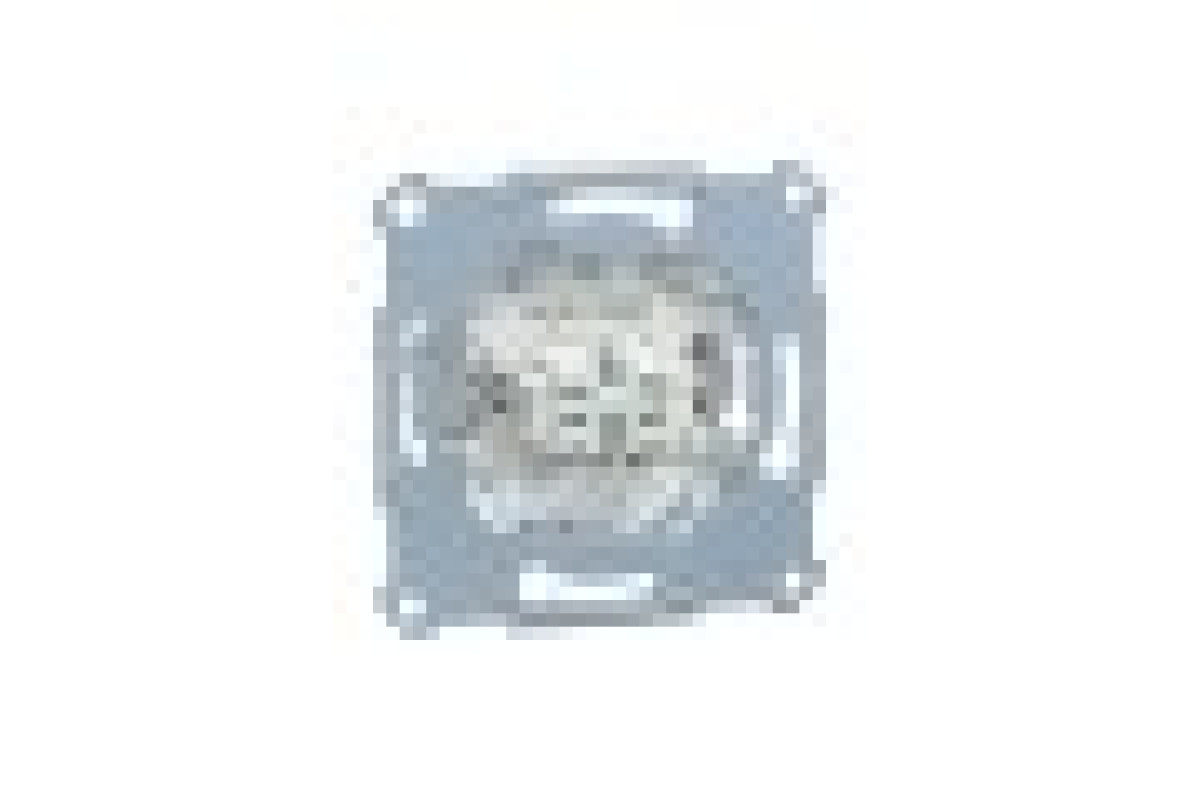 Механізм 2-клавішного вимикача 10А (MTN3115-0000)