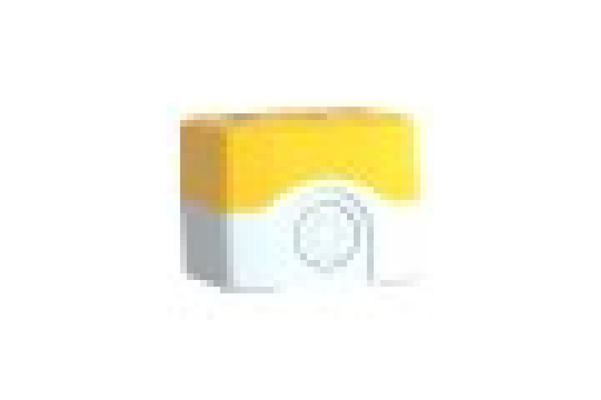 Кнопковий пост управління (XALK01H29)