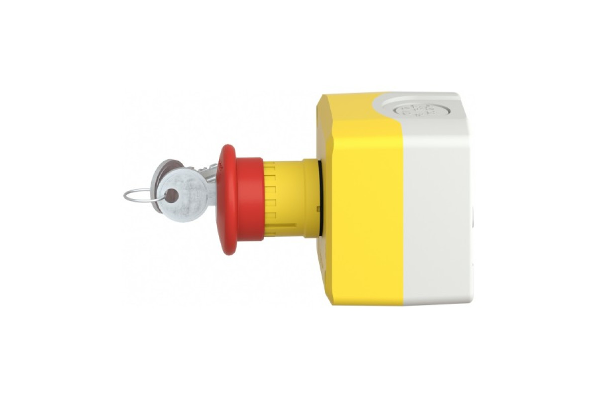 Кнопковий пост управління пластиковий 240В (XALK188)