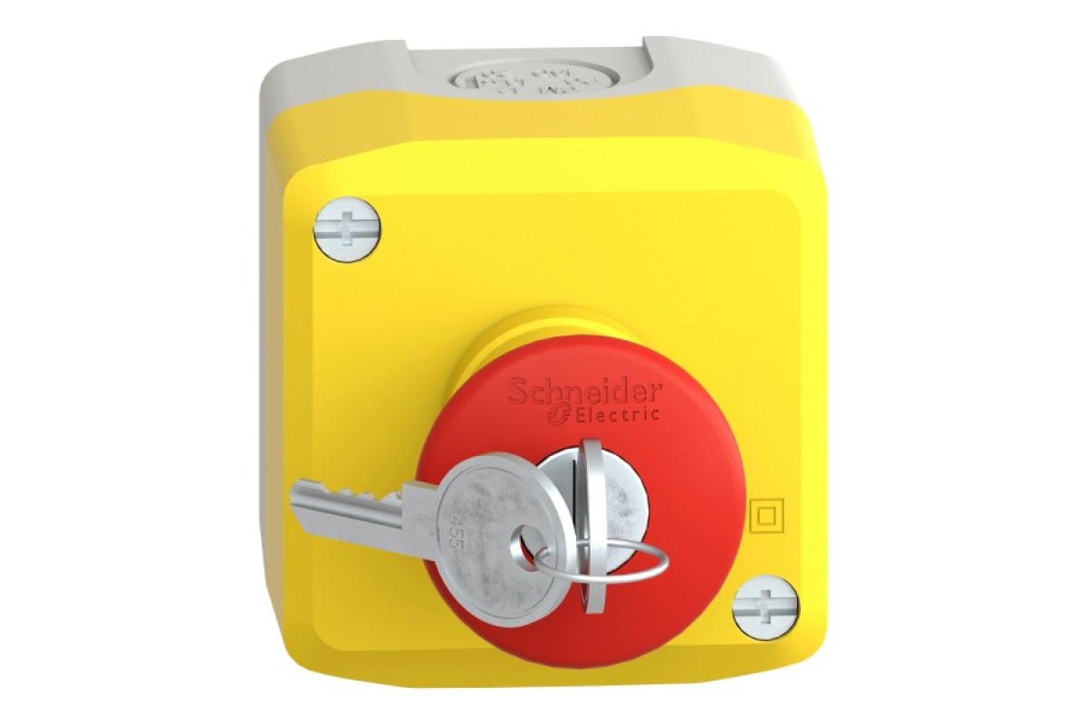 Кнопковий пост управління пластиковий 240В (XALK188)