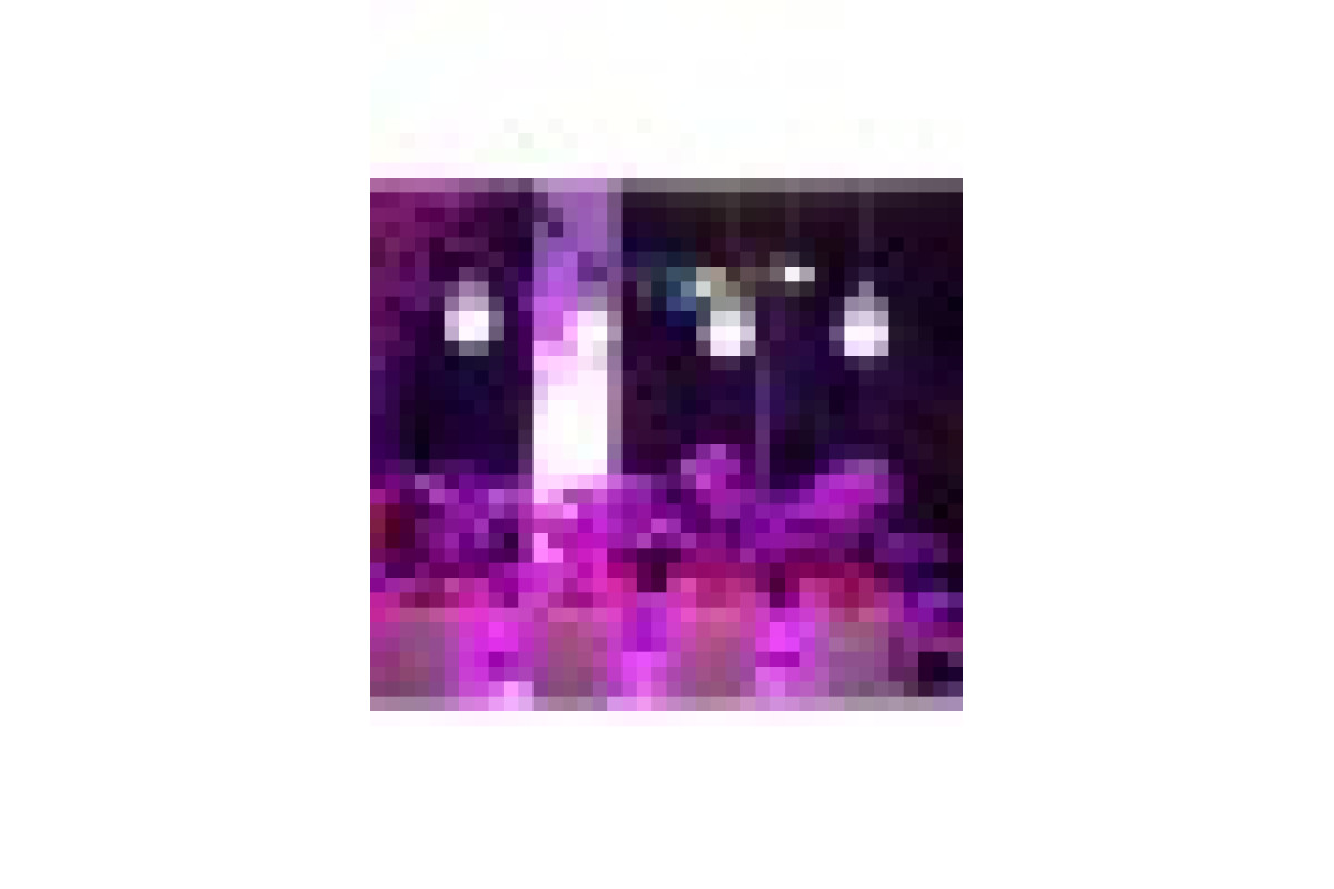 Фітолампа для зростання та формування коренів LED E27 15W Fito GROW (Full Spectrum = 9: 1) 220V (L137-014)