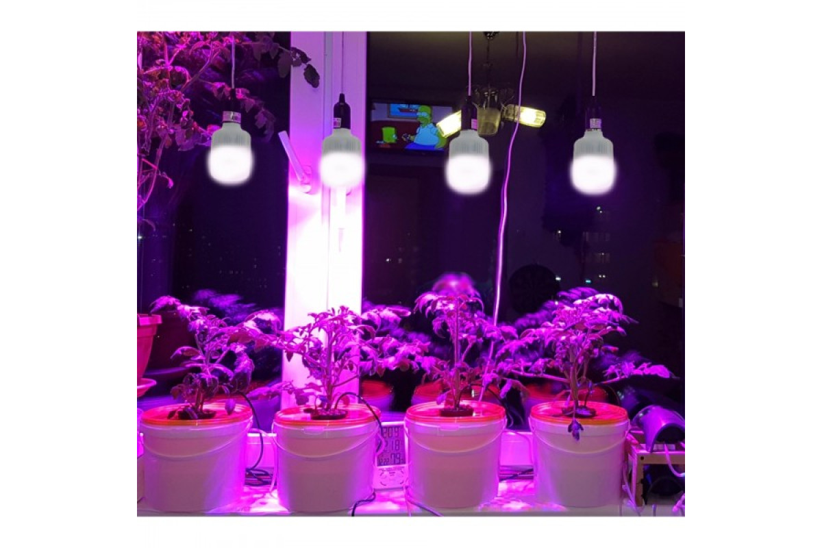 Фітолампа для зростання та формування коренів LED E27 15W Fito GROW (Full Spectrum = 9: 1) 220V (L137-014)