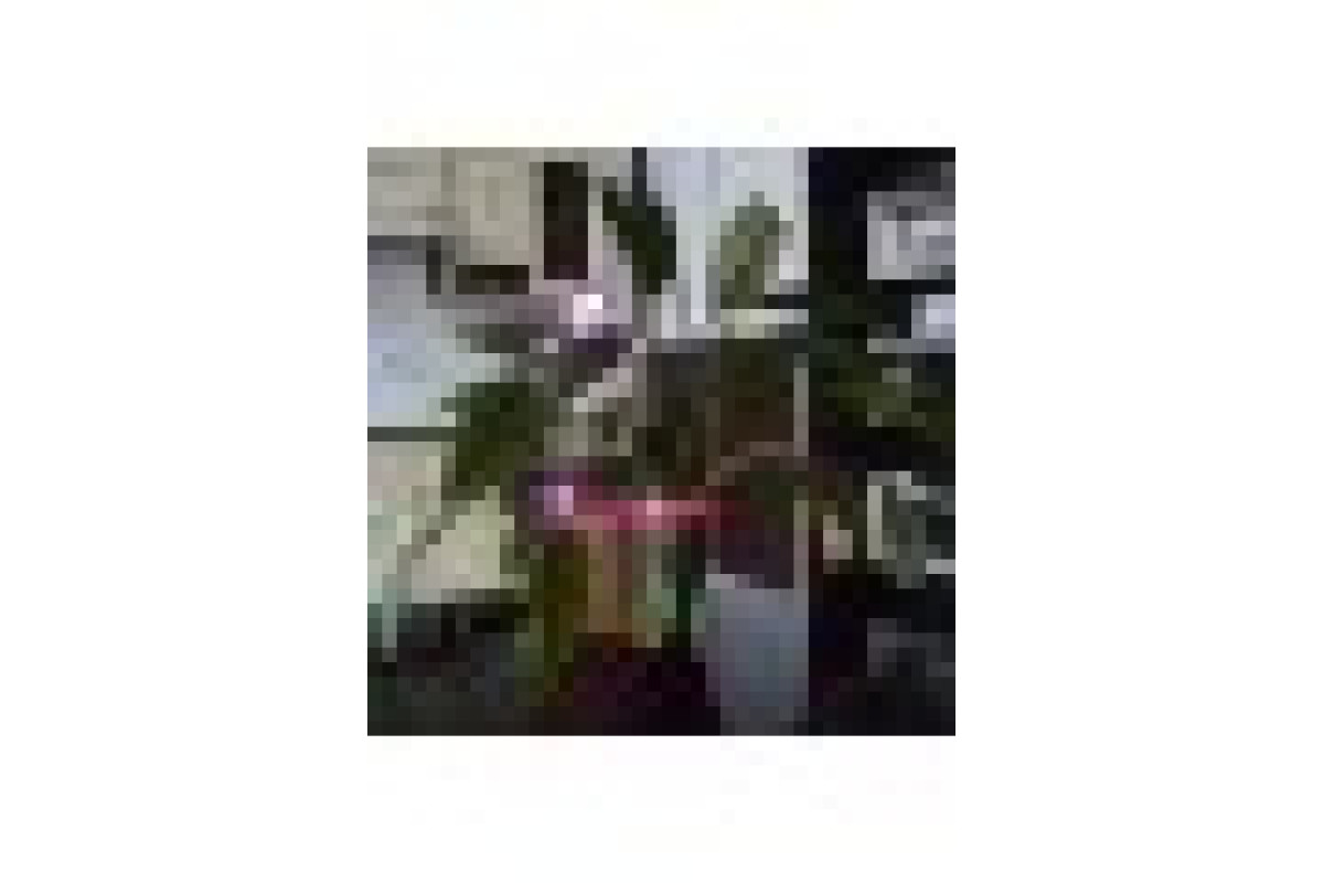 Фітосвітильник для рослин LED IP53 LED-36/3W Fito GROW (L128-001)