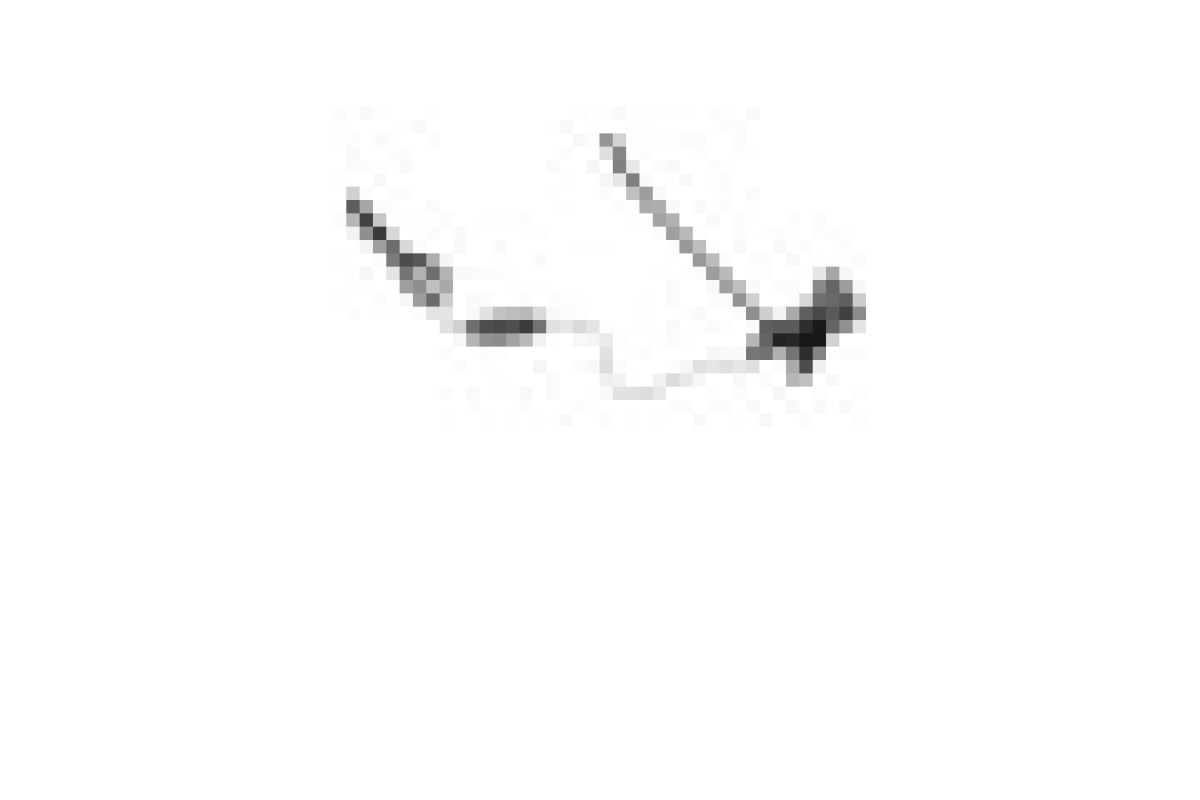 Фітосвітильник для рослин LED-36/7W Fito GROW RM (L137-018)