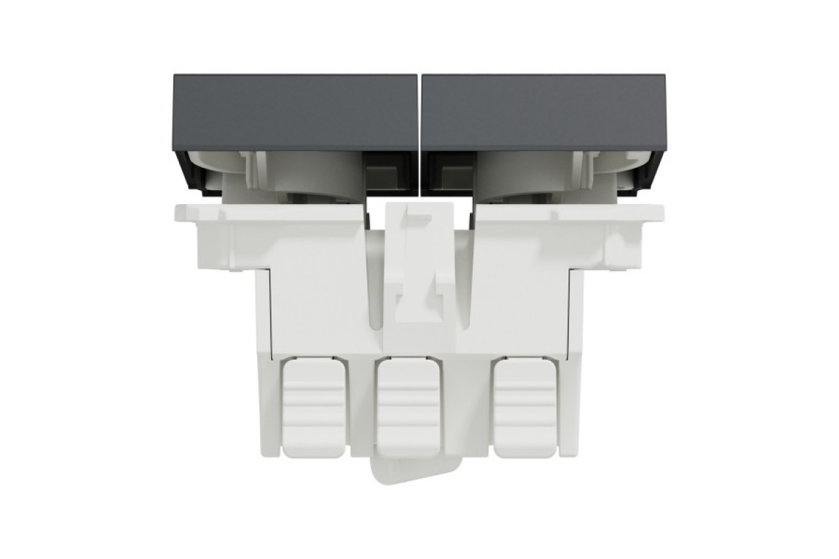 Перемикач 2-клавішний 2 x сх.6, 10А 2 модулі антрацит (NU321354)