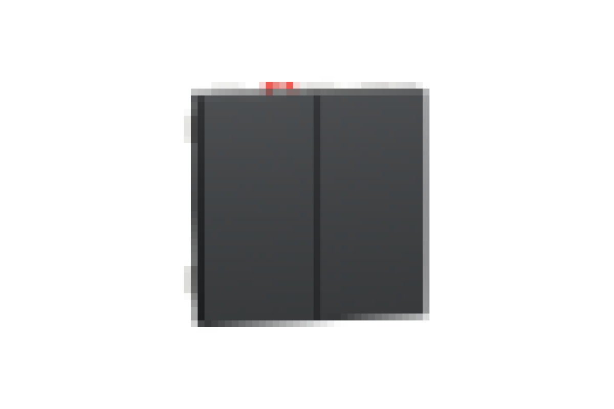 Перемикач 2-клавішний 2 x сх.6, 10А 2 модулі антрацит (NU321354)