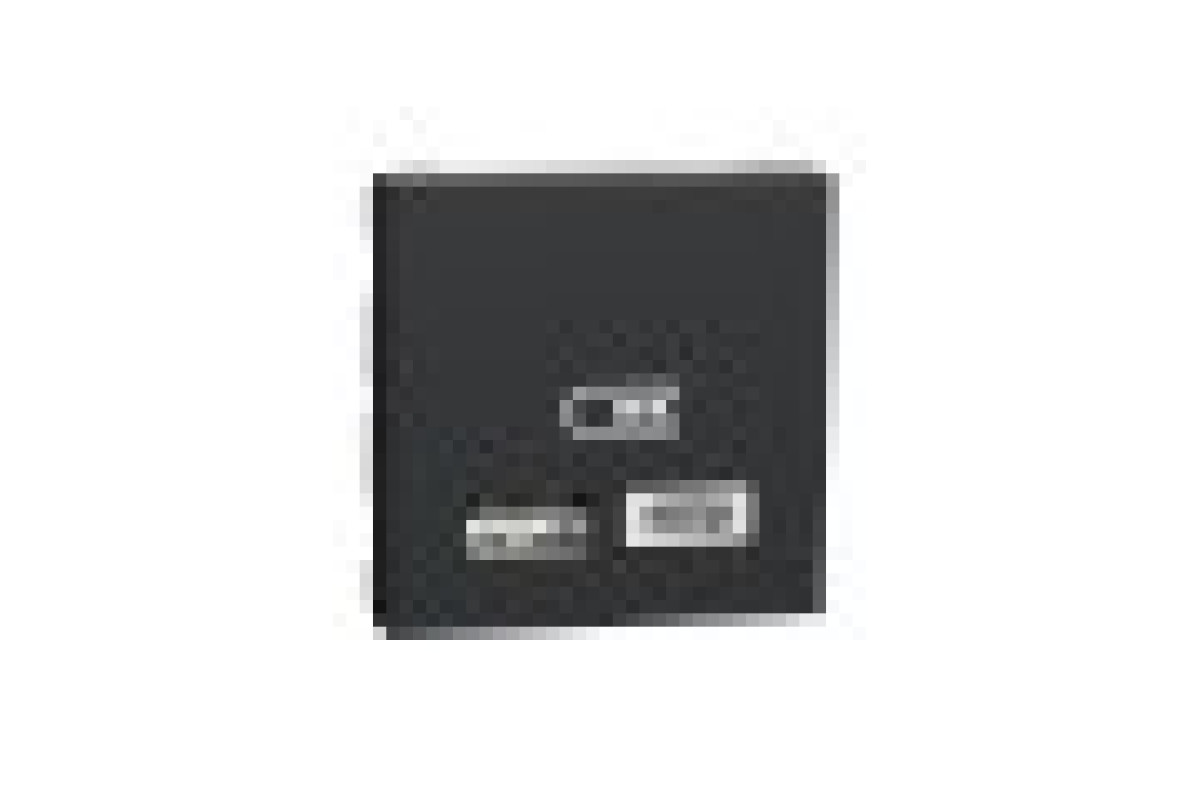 Подвійна USB розетка A+C антрацит (NU301854)