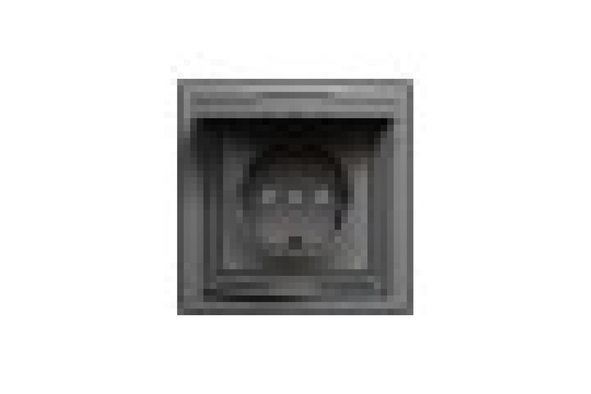 Розетка IP44 з кришкою, з заземленням, з захисними шторками, Антрацит Asfora (EPH3100371)