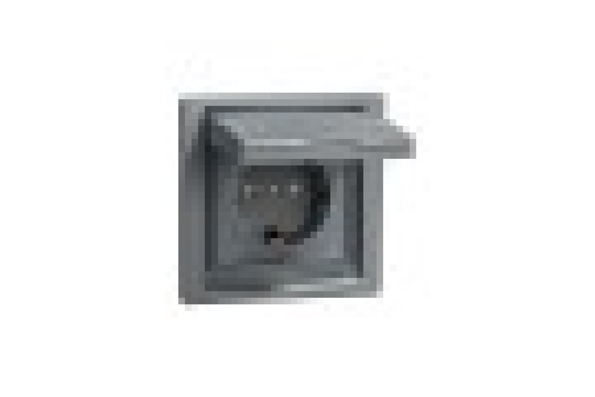 Розетка IP44 з кришкою, з заземленням, з захисними шторками, Сталь Asfora (EPH3100362)