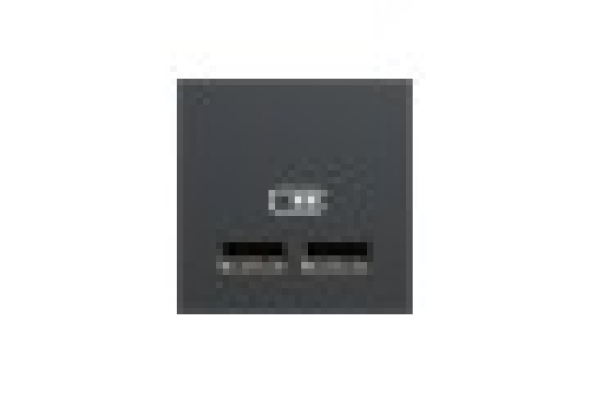 Розетка USB подв. 2.1А 2 модуля антрацит (NU341854)