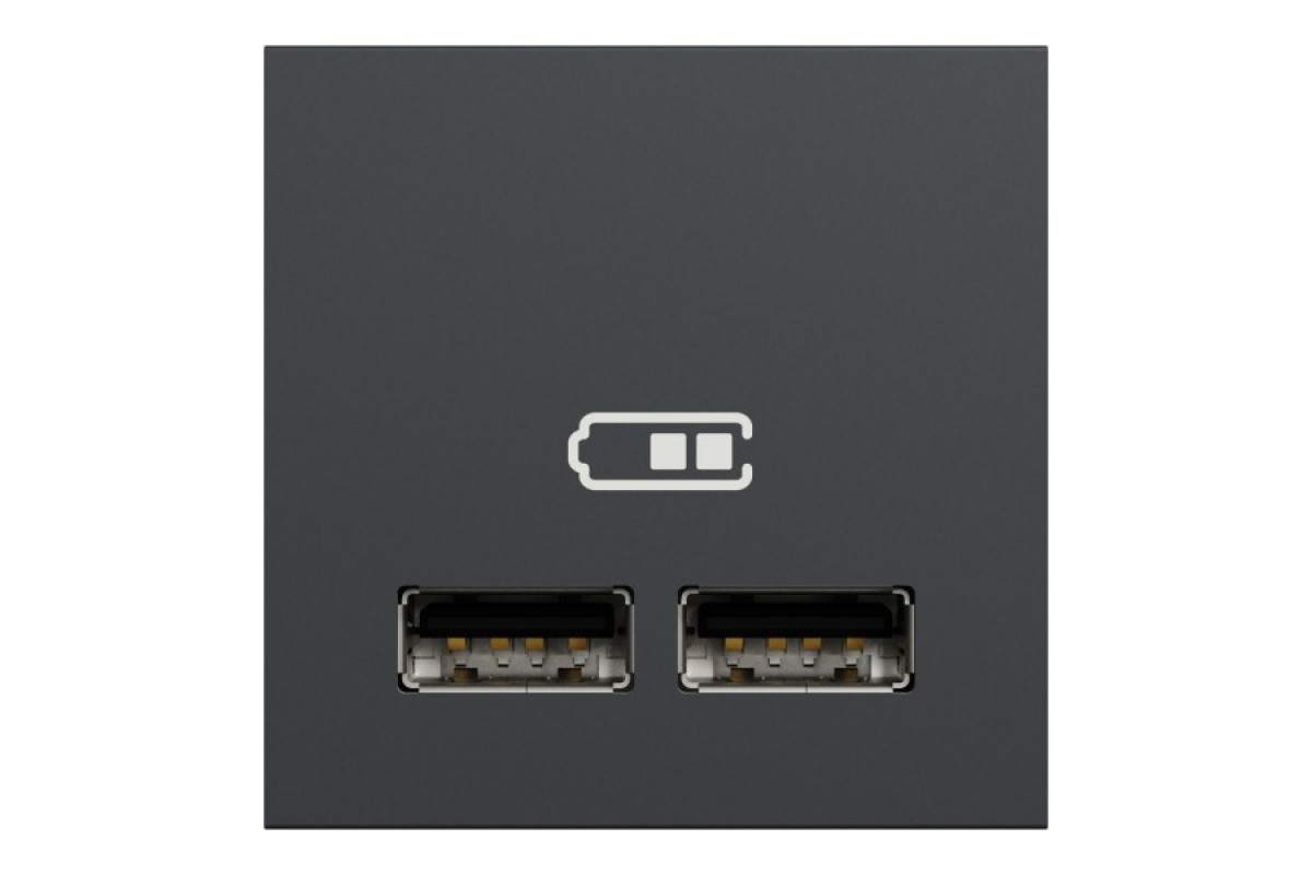 Розетка USB подв. 2.1А 2 модуля антрацит (NU341854)