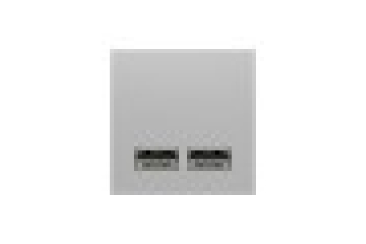 Розетка USB подвійна 2.1А 2 модулі алюміній (NU341830)