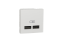 Розетка USB подвійна 2.1А 2 модулі білий (NU341818)