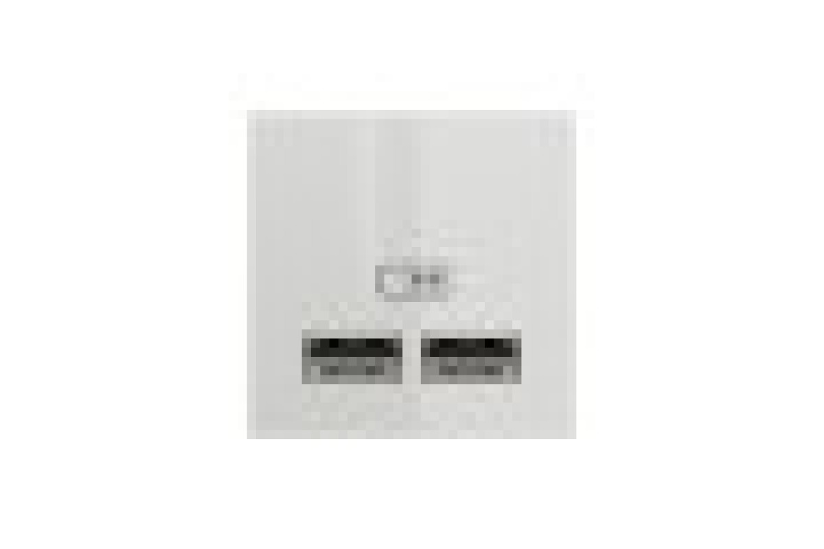 Розетка USB подвійна 2.1А 2 модулі білий (NU341818)