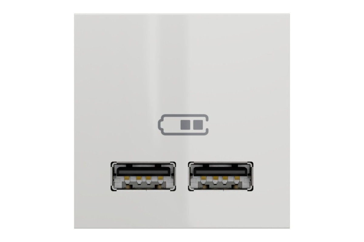 Розетка USB подвійна 2.1А 2 модулі білий (NU341818)