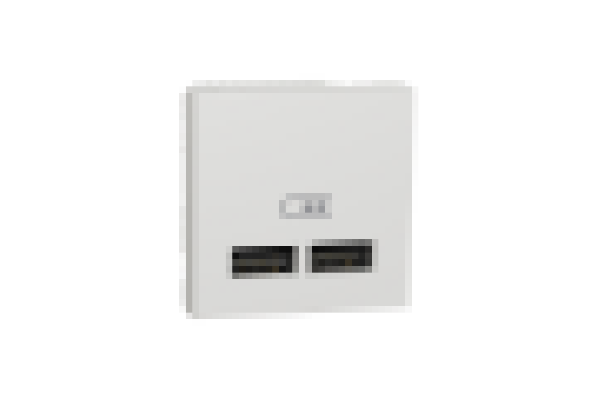 Розетка USB подвійна 2.1А 2 модулі білий (NU341818)
