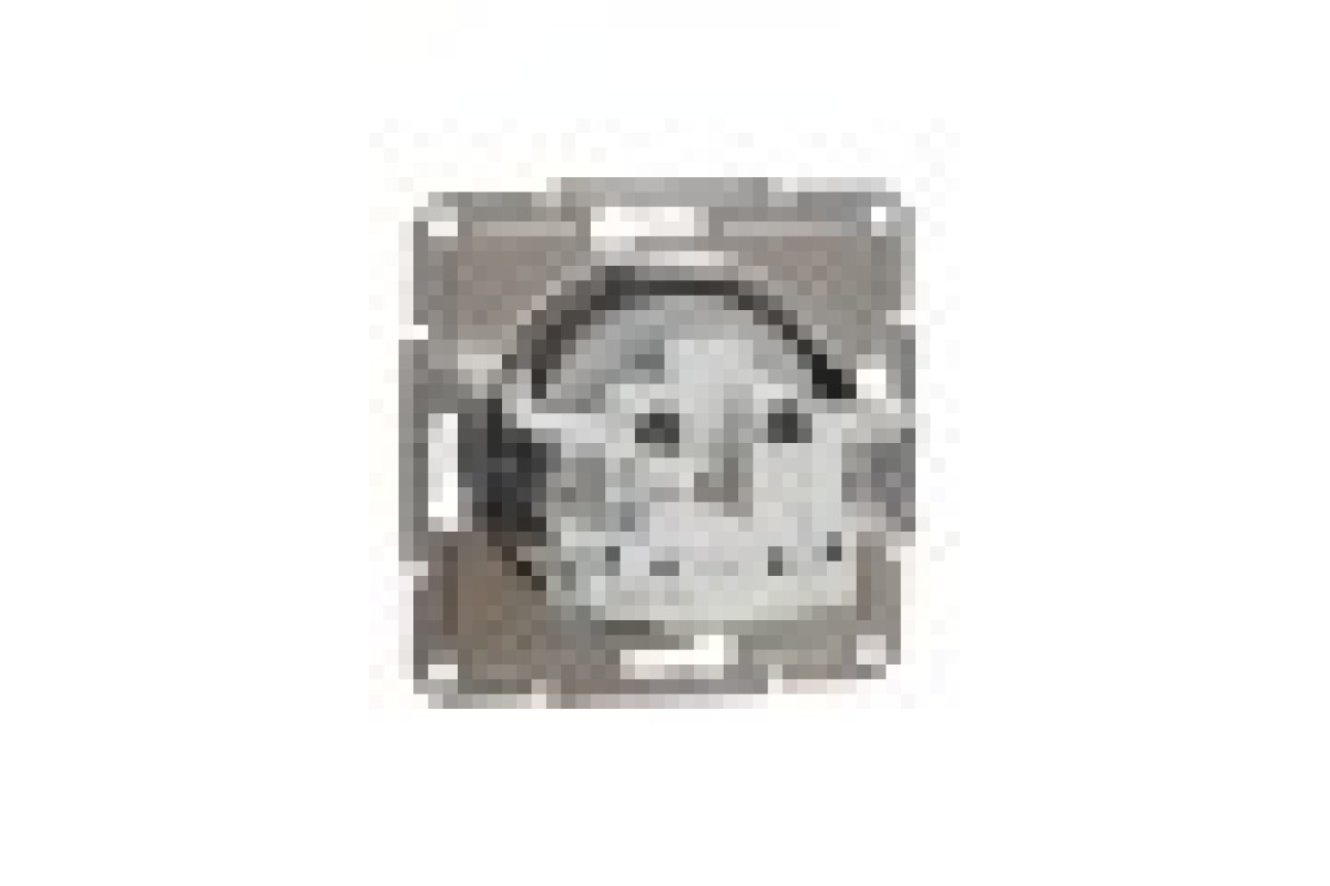 Розетка без заземлення Asfora Алюміній (EPH3000161)