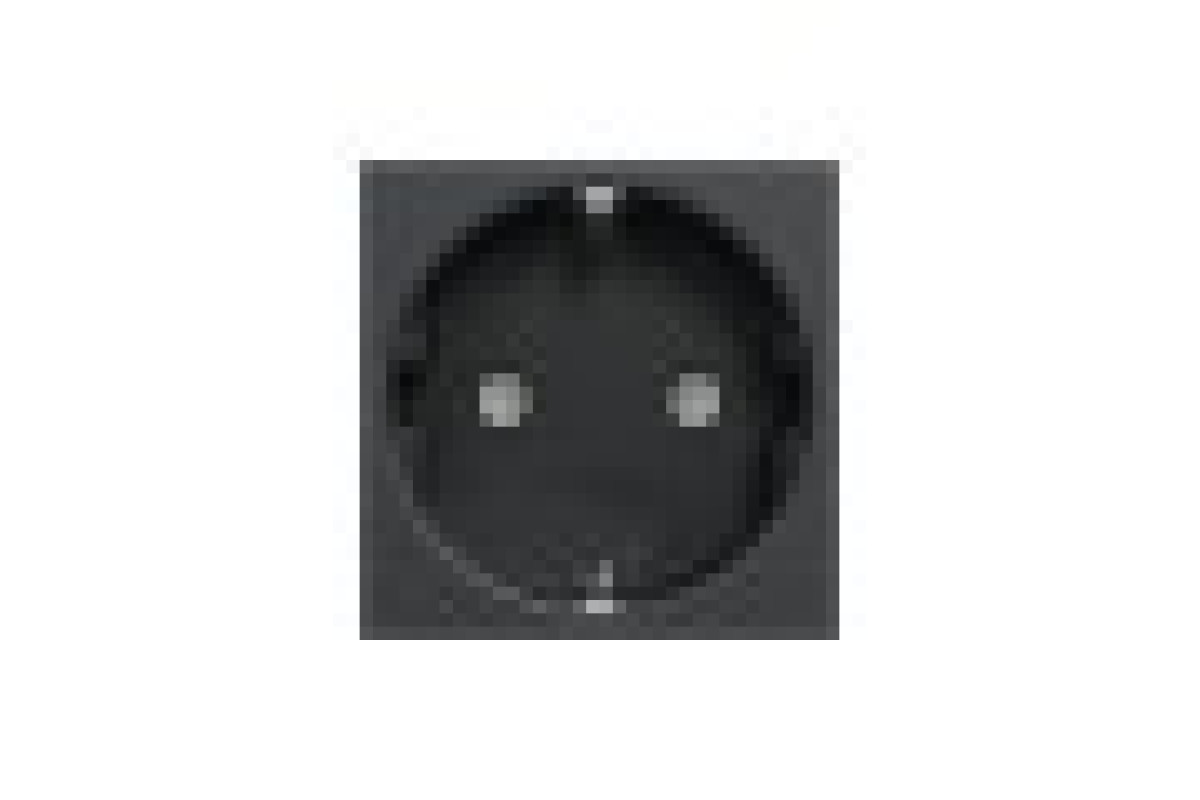 Розетка з з/к зі шторками 16А гвинтові зажими антр (NU303754)