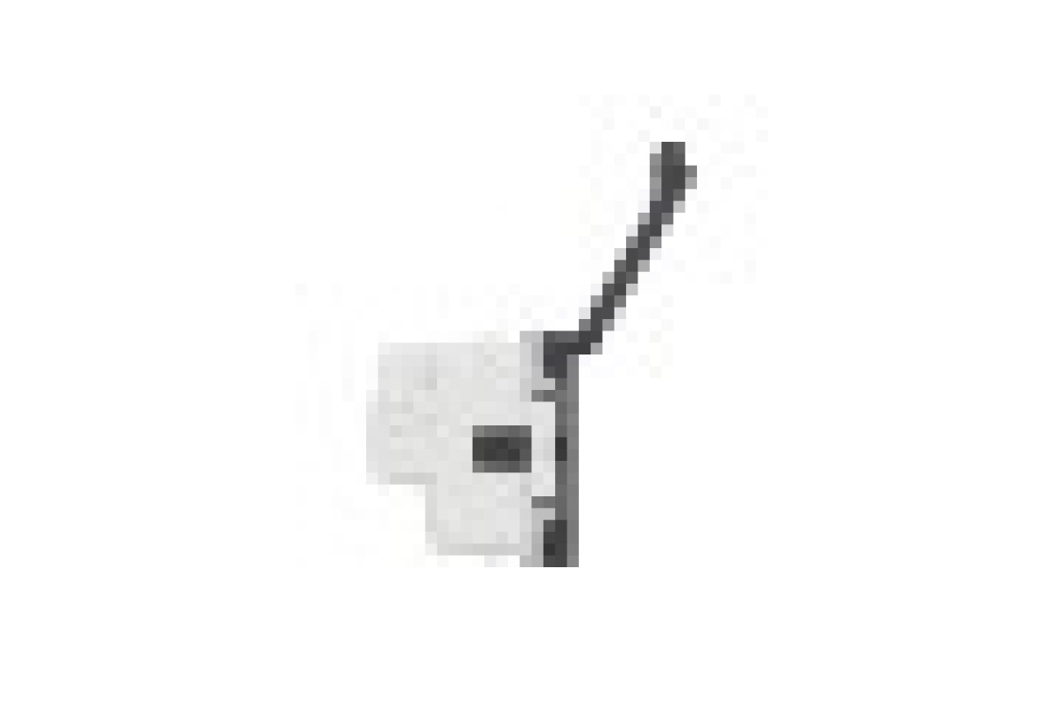 Розетка з з/к, зі шторками, з кришкою, 16А, гвинтові зажими, антрацит (NU303754TA)