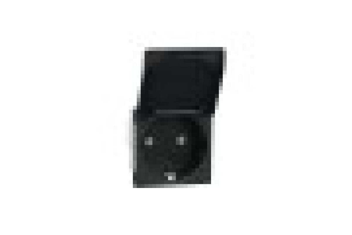 Розетка з з/к, зі шторками, з кришкою, 16А, гвинтові зажими, антрацит (NU303754TA)