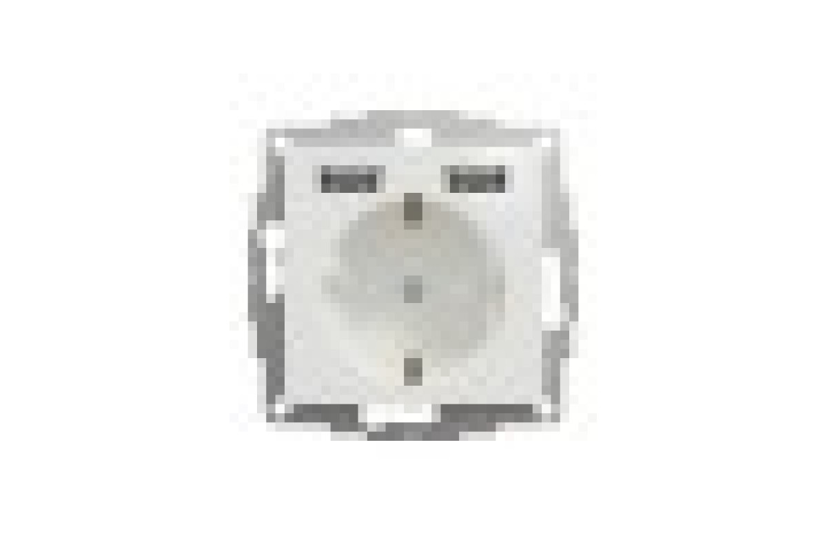 Розетка з заземленням + 2 USB тип А Білий Sedna Design (SDD111052)