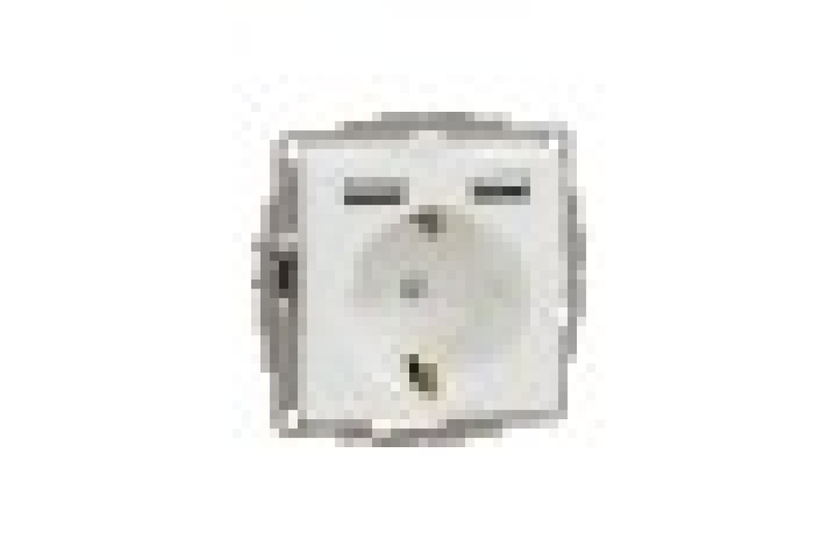 Розетка з заземленням + 2 USB тип А Білий Sedna Design (SDD111052)
