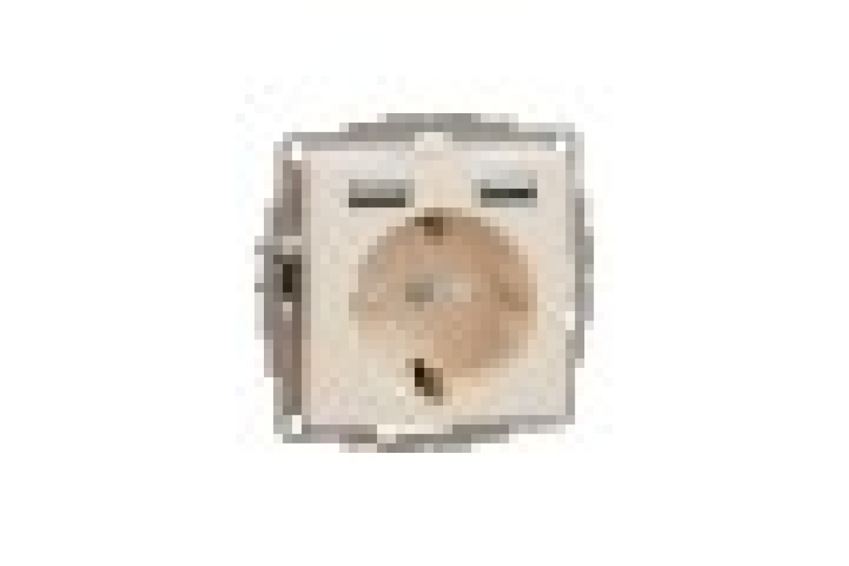 Розетка з заземленням + 2 USB тип А Бежевий Sedna Design (SDD112052)