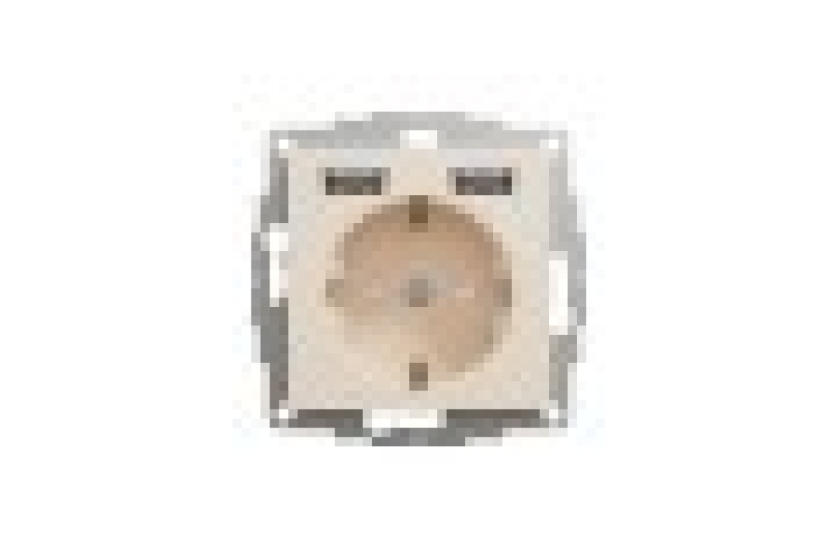 Розетка з заземленням + 2 USB тип А Бежевий Sedna Design (SDD112052)