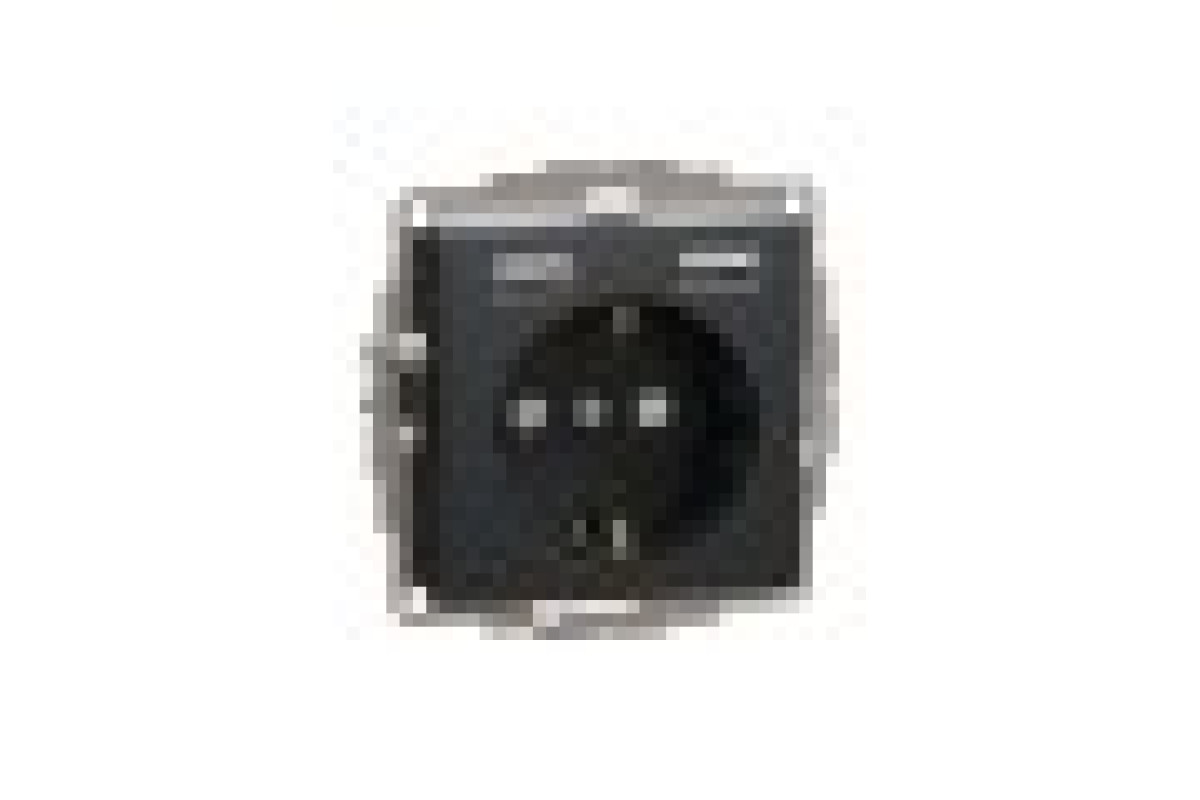 Розетка з заземленням + 2 USB тип А Чорний Sedna Design (SDD114052)