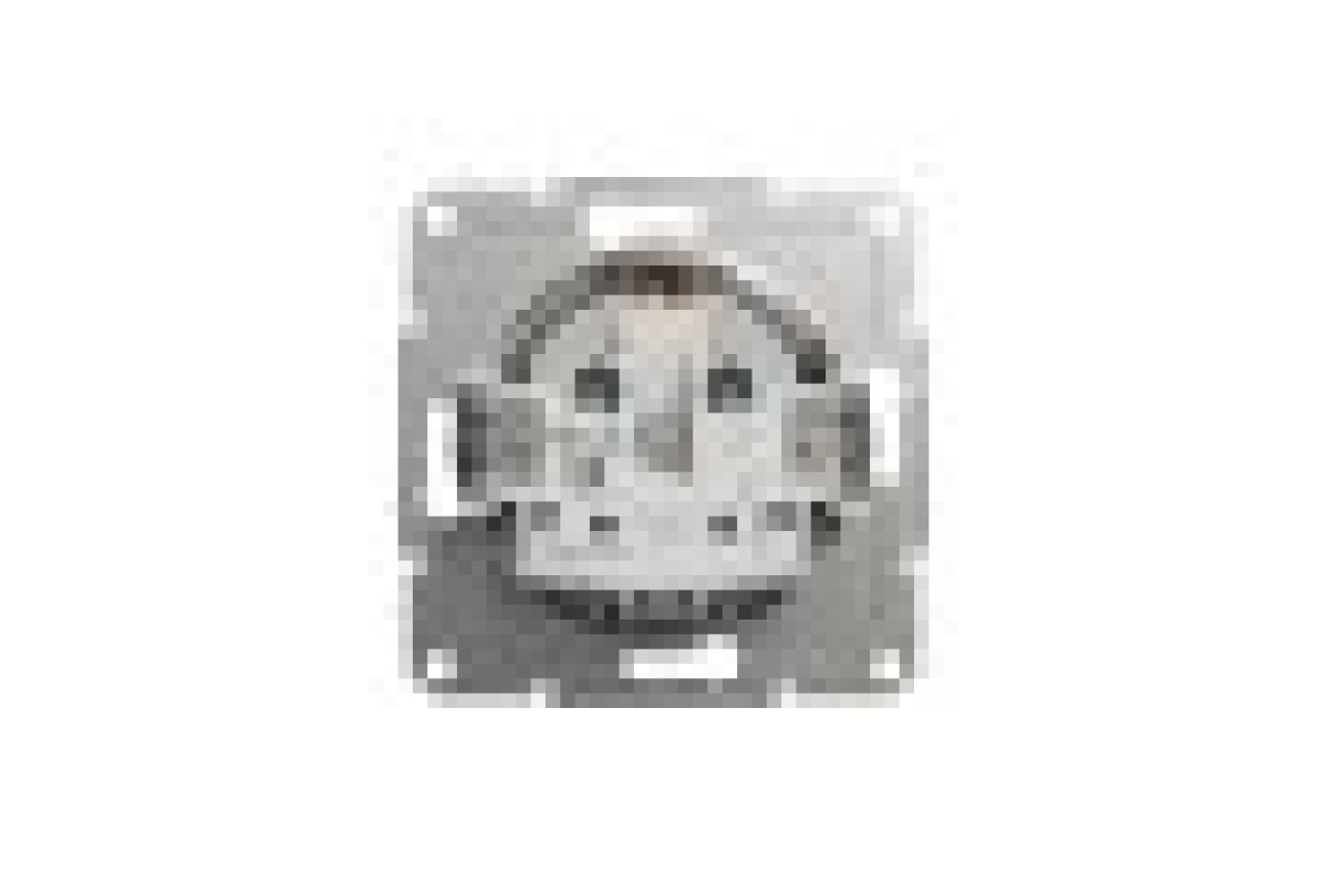 Розетка з заземленням Asfora Алюміній (EPH2900161)