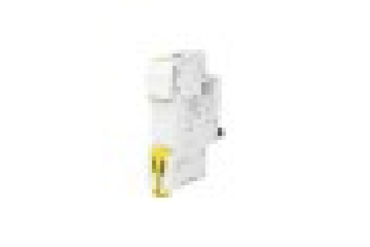 Автоматичний вимикач iC60N 1P 32A D (A9F75132)