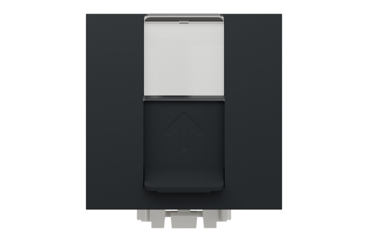 Розетка комп'ютерна RJ45, одинарна категорія 6 UTP, 2 модулі антрацит (NU341554)