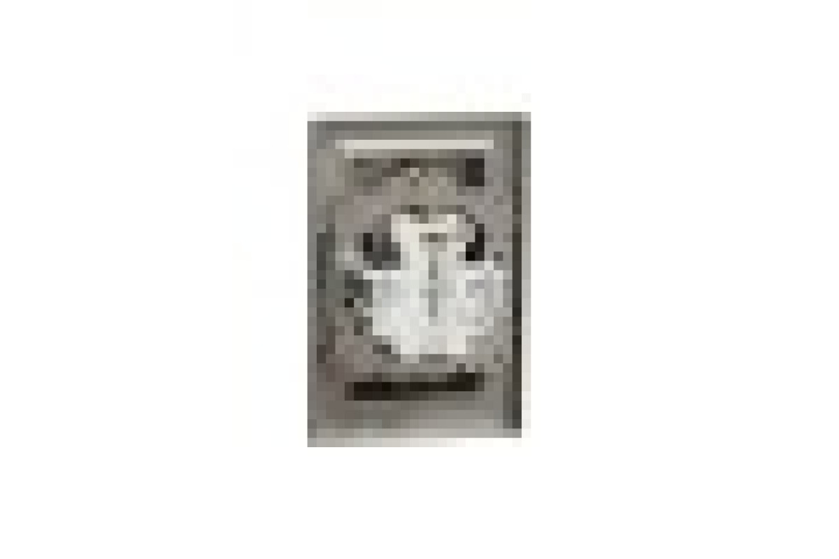 Розетка двойная с заземлением Бронза Asfora (EPH9900169)