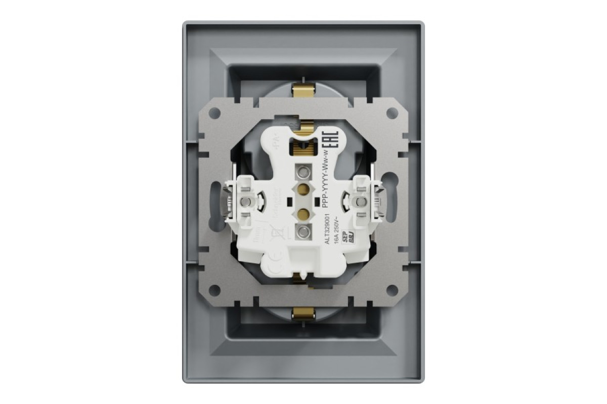 Розетка подвійна з заземленням Сталь Asfora (EPH9900162)