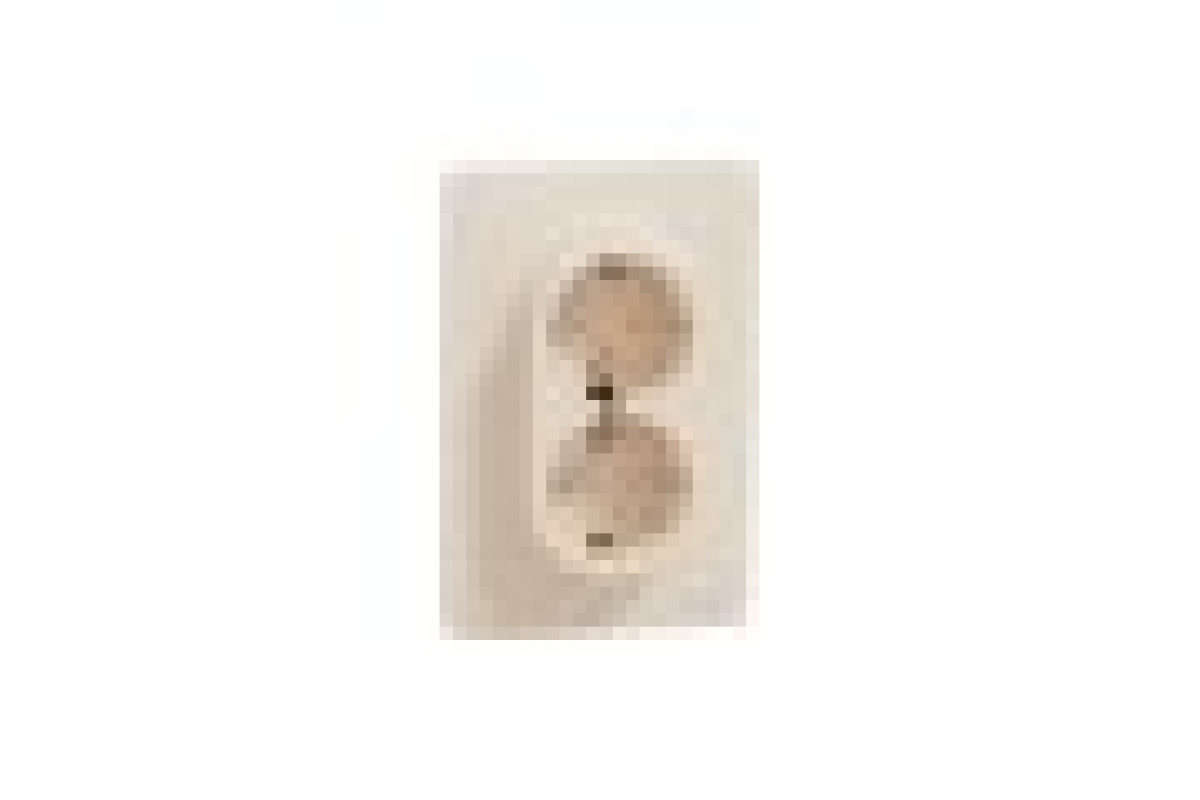 Розетка подвійна з заземленням та шторками, гвинтові зажими, бежева Unica New (NU206744)