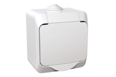 РОЗЕТКА ФРАН. СТАНДАРТНА CEDAR PLUS (WDE000540)