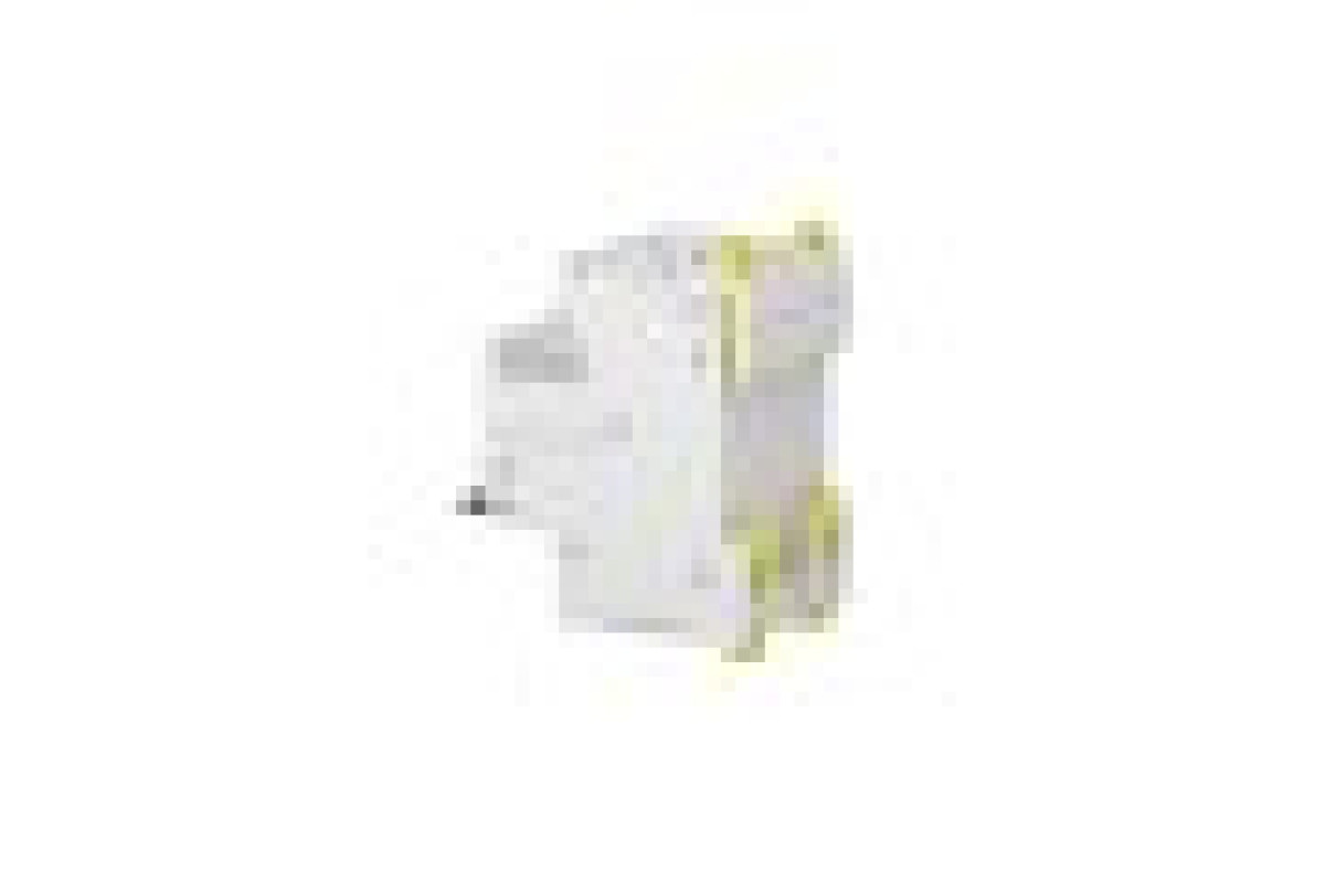 Автоматичний вимикач iC60N 3P 63A B (A9F78363)