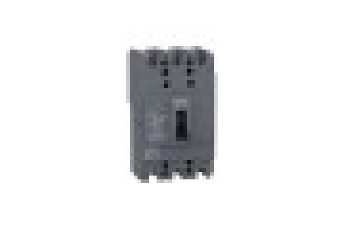 Автоматичний вимикач в литому корпусі EasyPact EZC100H 3P 30кА 100А (EZC100H3100)