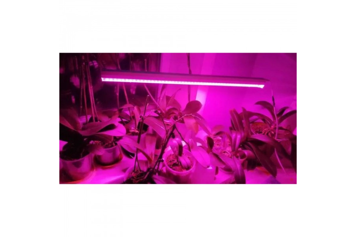 Фітолампа для рослин 18W G13 Т8 Fito GROW (Red: Blue = 5:1) 220V (L137-007)