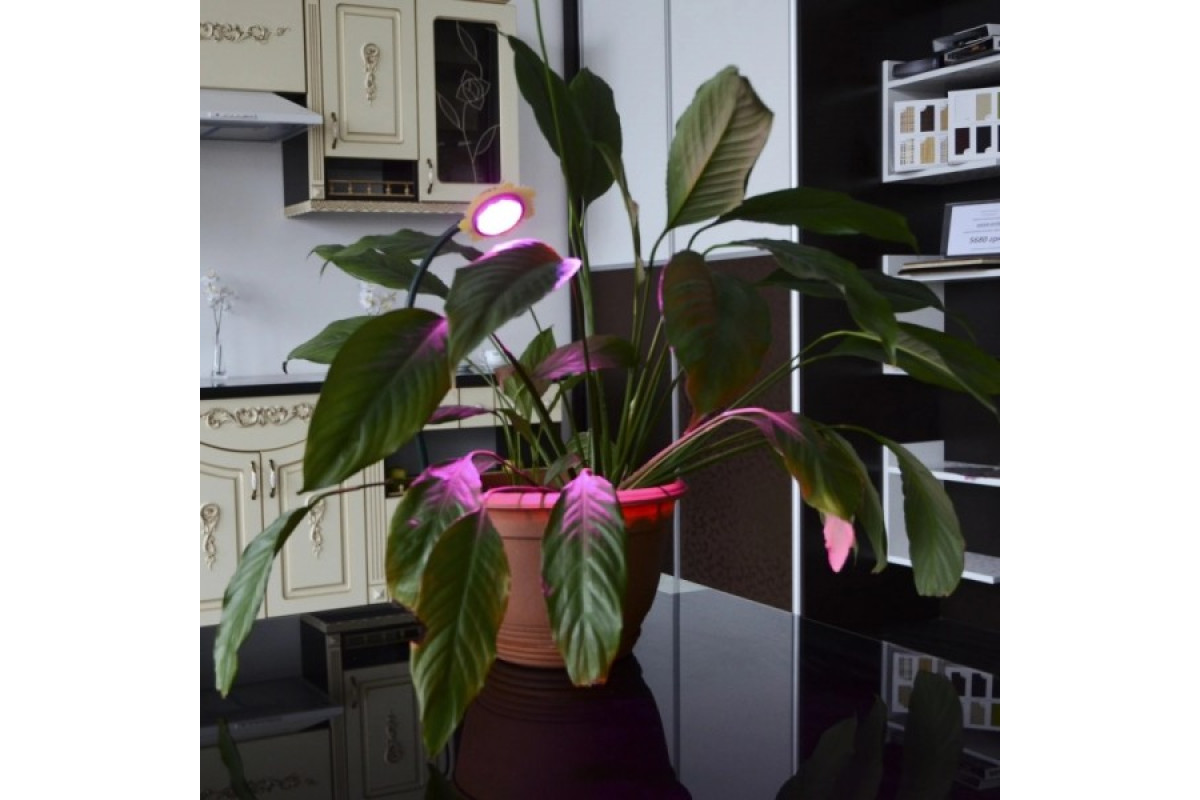 Фитосветильник для растений LED IP53 LED-36/3W Fito GROW (L128-001)
