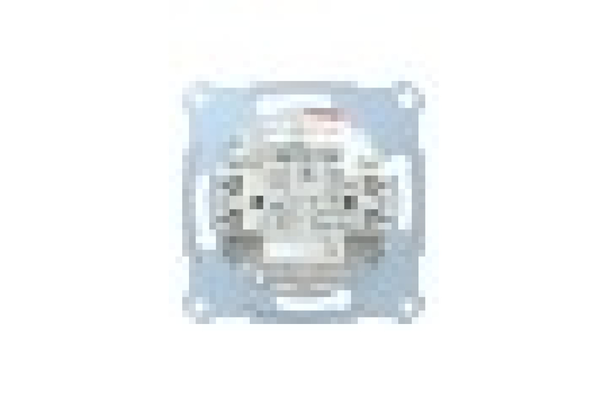 Механізм 2-клавішного вимикача 10А (MTN3115-0000)